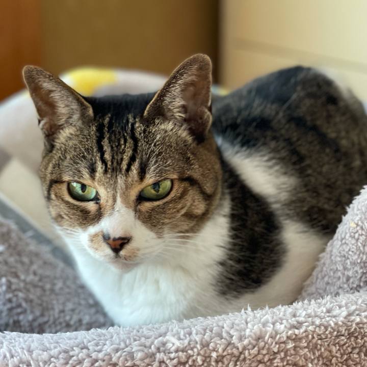 43e1d669 e83a 479c 8869 4c8b87d79609 1613784322233