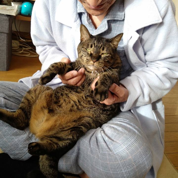 43e1e04c 9c83 46d6 a81f f517a00b5856 1768003910686