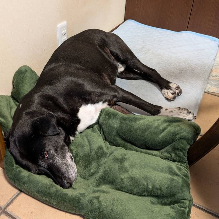 43e1e498 778f 4fb7 8ade 0e847e5bb393 1752711135558