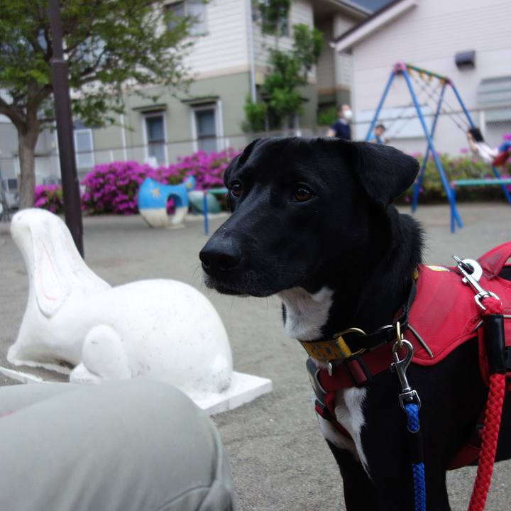 43e20265 5c62 451f a7fe 319f363e1d40 1588674859137