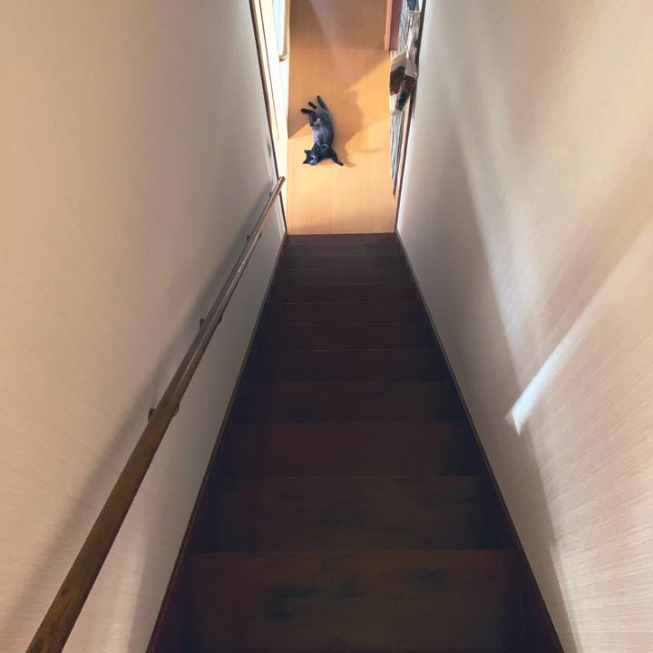 43e22930 8689 4c49 be15 fd49703c8037 1565961169792