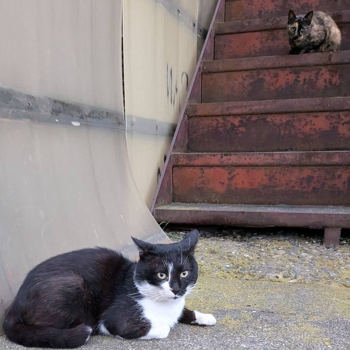 43e240af 14a0 4aca 8ba5 9ccc16a20788 1723973790307