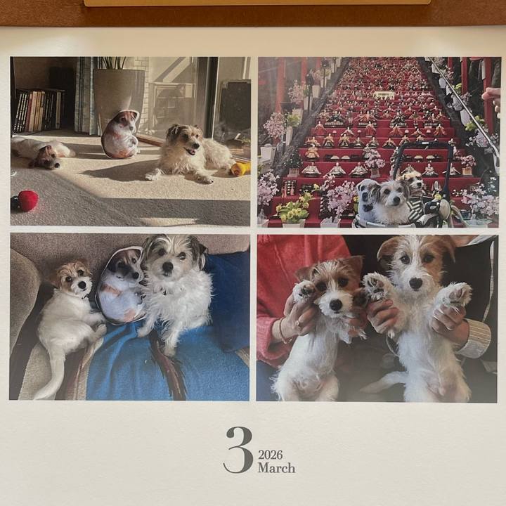 43e27294 fb85 42d2 a729 0ddb7305a1f0 1772315705426