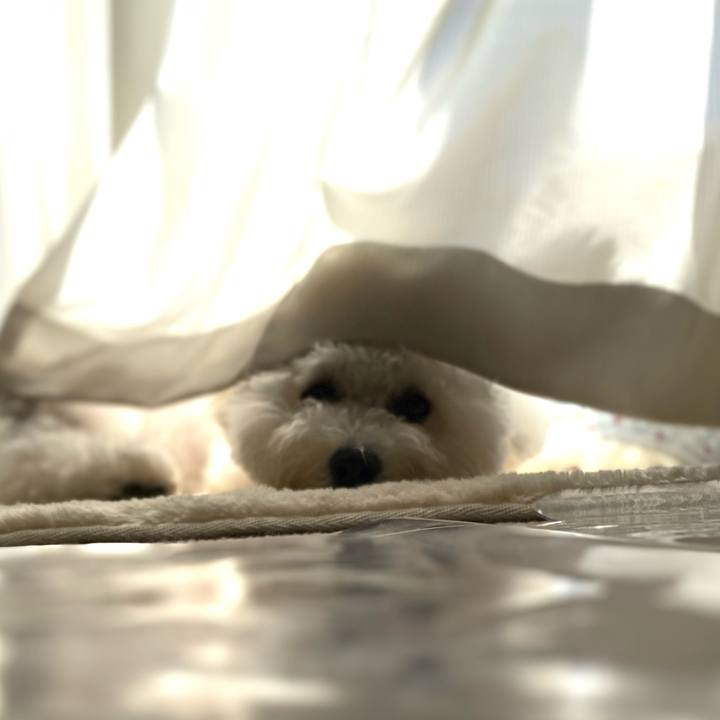 43e27be3 0582 404e 9b85 913c23cba776 1765863406229