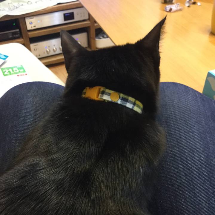 43e2ae17 e037 409b 8481 b424c1718792 1545988274887