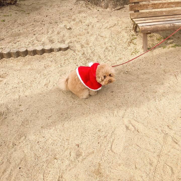 43e2c693 102a 4fcd bab8 ad57156cd96a 1514096389316