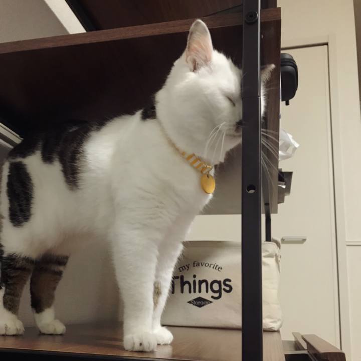 43e2f11f 6782 4393 9d1f 279612f84424 1594958189163