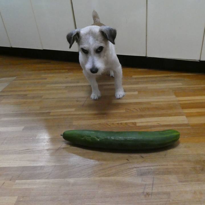 43e2f68c 4f22 4b2c b024 bd25eda5a33a 1597065075251