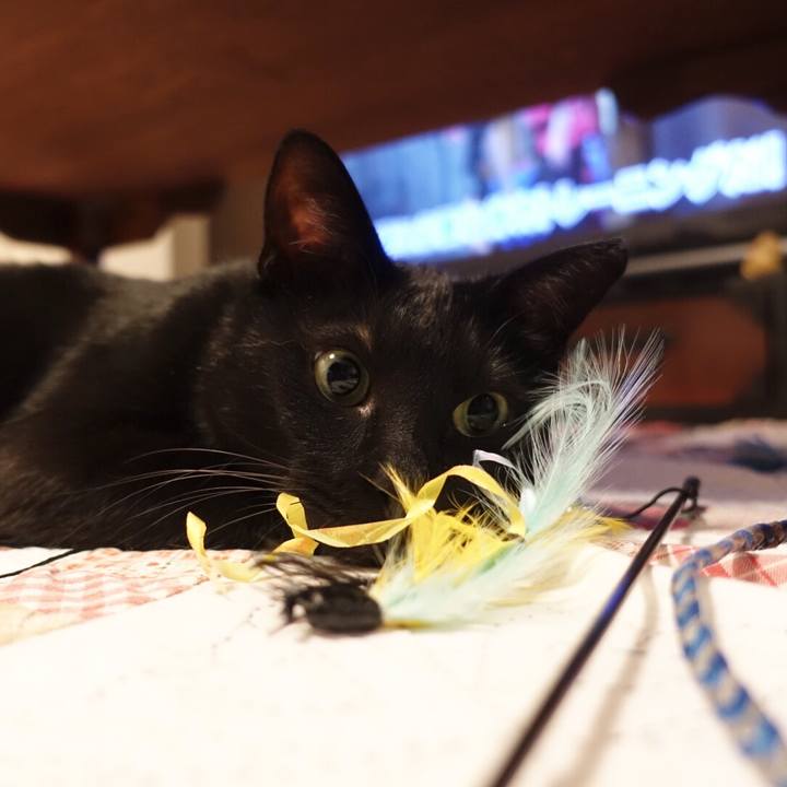 43e304ae 55a6 4725 83cc 93e641868f05 1514522898645