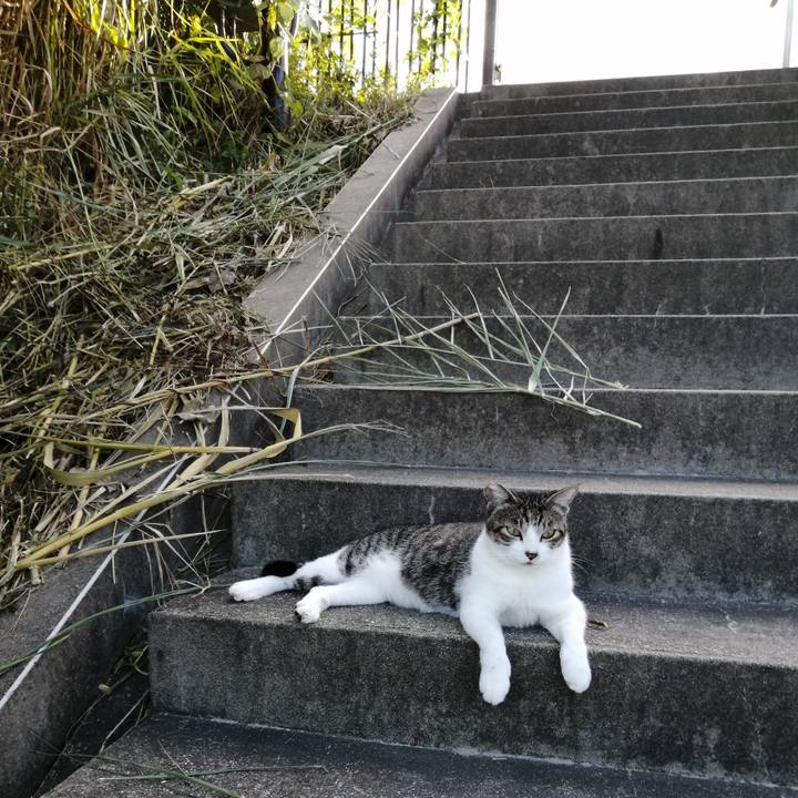 43e3076a 5ec2 4689 8f44 8715272ba7ca 1567760467679