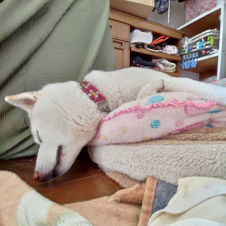 43e30efd 9b2e 475b a829 7d636718558d 1649297826378