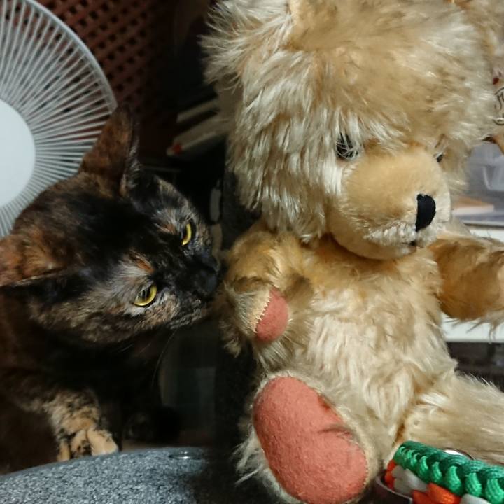 43e31eae fdd7 48a3 bcb1 1a1f4d6f6c47 1550317141987