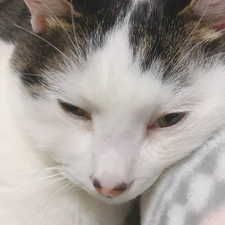 43e3210b 8d2e 4af4 873d 7f6ea552c66a 1582035117244