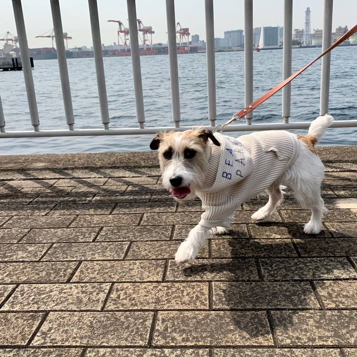 43e34905 2141 4688 b10f becdd3011eac 1647178194343