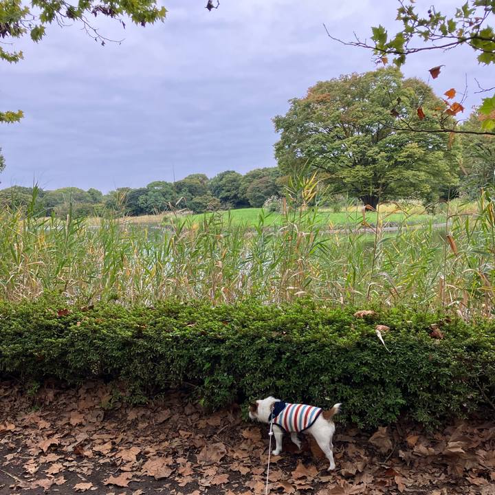 43e34e26 4ae4 4882 b565 1701bfe62f41 1665965786726