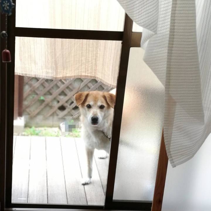 43e3508c 835e 4c48 bda7 c1a0c419df5c 1564107920422