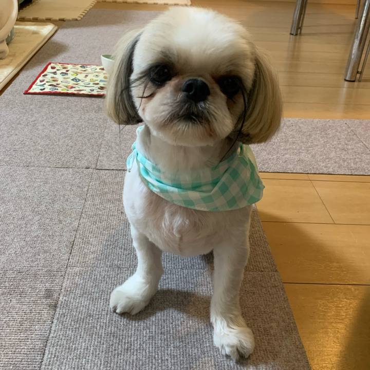 43e38170 4412 4f15 9540 58c207a14ea8 1649501859828