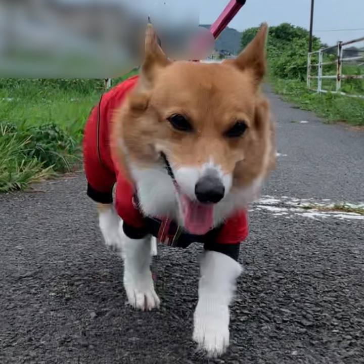 43e38353 55c6 4742 96f6 de306caf269d 1660693479269