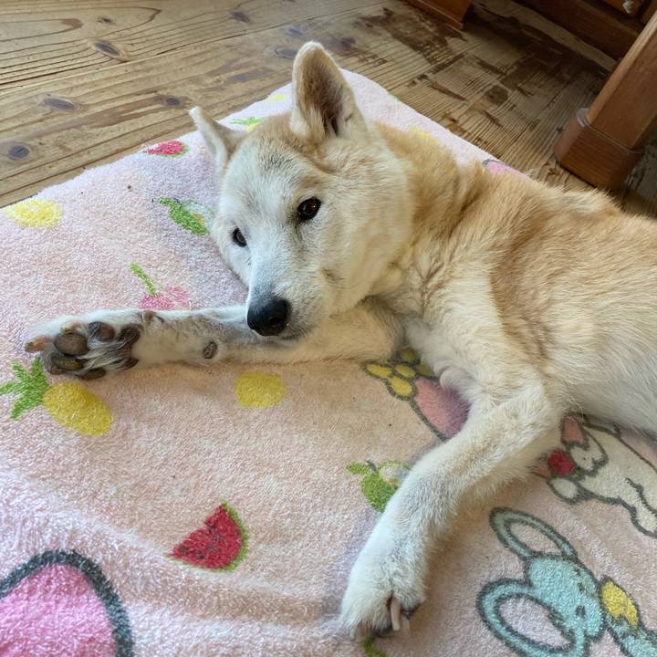 43e39306 197c 4e64 9187 ec60e00b9999 1600832423320