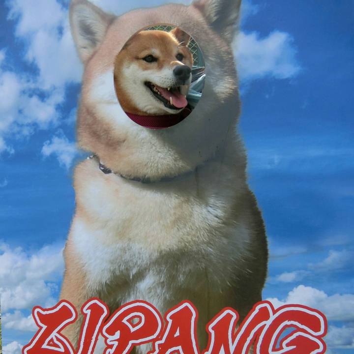 43e3af5e 5e3a 4888 84c0 1a9f9d9f8015 1558882878320