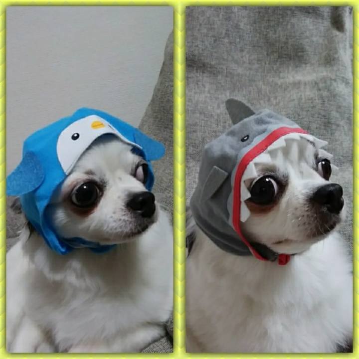 43e3c3bd ba25 46ae b11b 920aad8be2e1 1532158948211