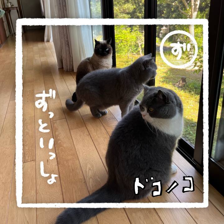 43e3e1a1 368e 4616 9233 9cf71a514c30 1685972273835