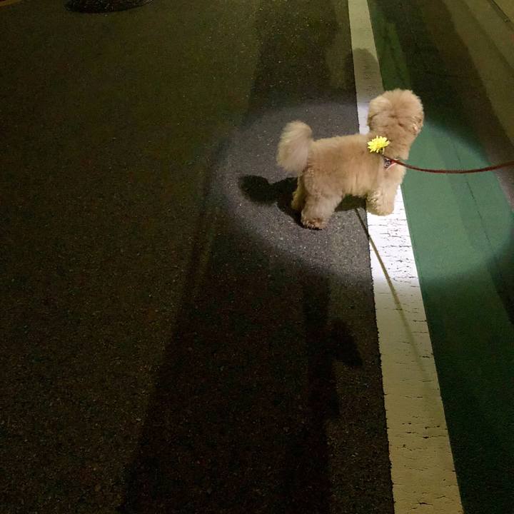 43e3e500 cc6c 41d8 8282 e25f35135a16 1534596822536