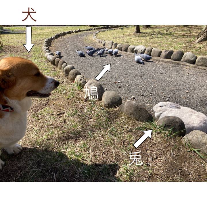 43e3fad8 ba4e 4287 a5ab b4f5fa985f75 1648463394969