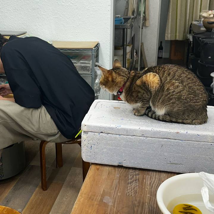 43e47590 2ed4 4b06 a5df 4dfdced8b4af 1766636422568