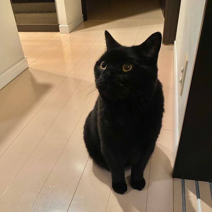 43e47bfc 3c74 4ba1 b51d 46af1a83cfe3 1684412680648