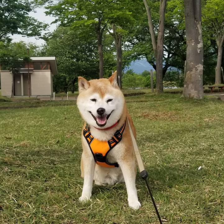 43e4800c b771 4be5 b0dc e8c3e9186bdd 1715756431320