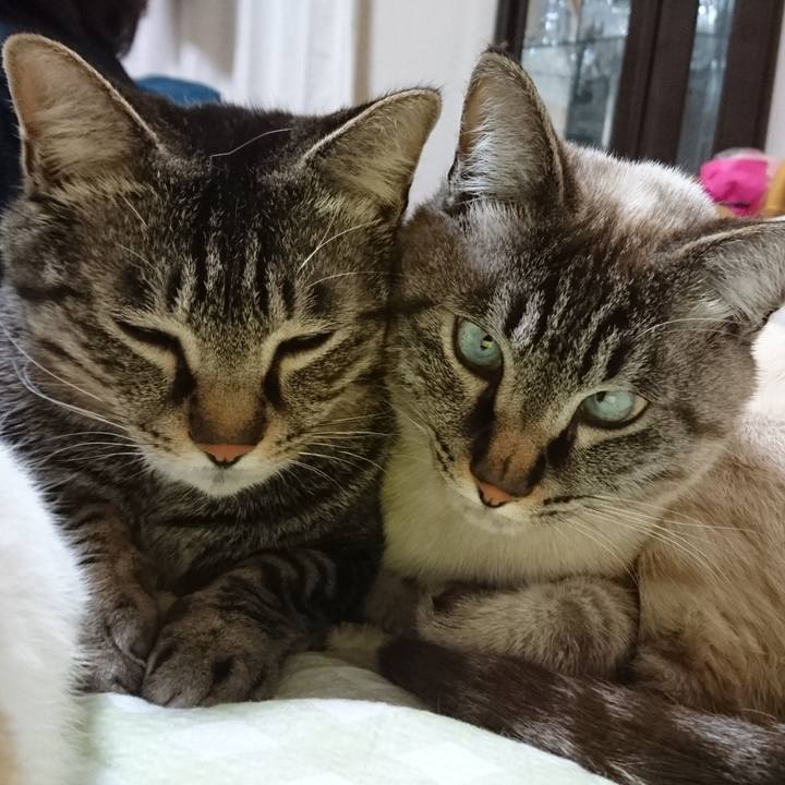 43e495bc 8432 4d34 802c bbeb8fa611ad 1521726955963