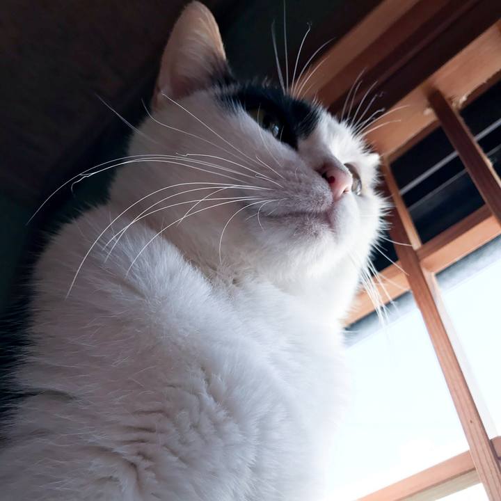 43e4b744 fbf1 4a15 be34 f22225c906e4 1512812727708