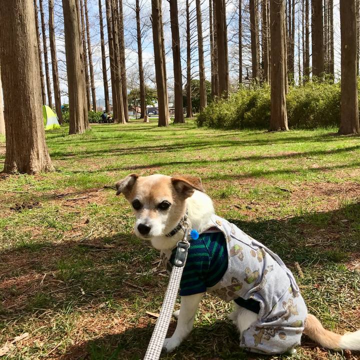 43e4c93b 427a 4dc9 9672 db15ba686b4a 1647754207878