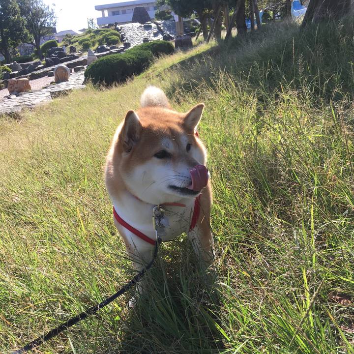 43e4d708 052f 42af 86b3 abc256cd7ed4 1540082222922