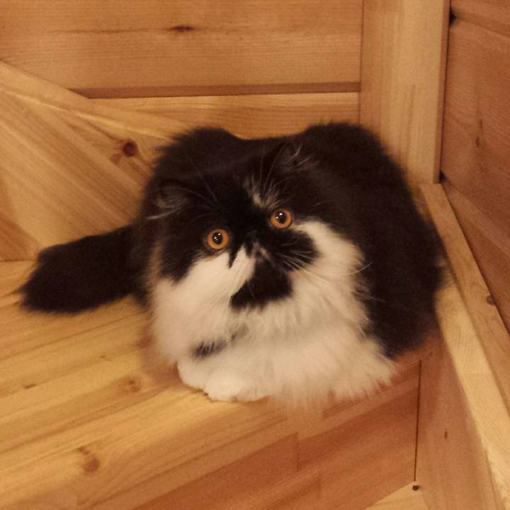 43e544a0 f45d 416f ac2e 343b9bde9b2f 1512481854463