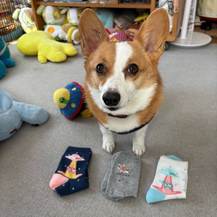 43e55c54 d398 45ea b841 2444b471fd3e 1763180426088