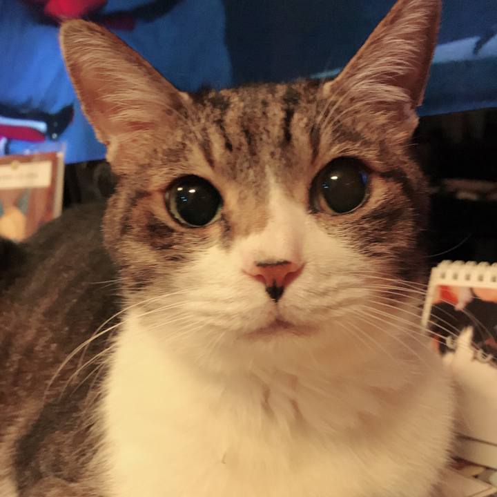 43e5bb91 fe1e 47eb 9004 656fd70a7b2f 1525309844419