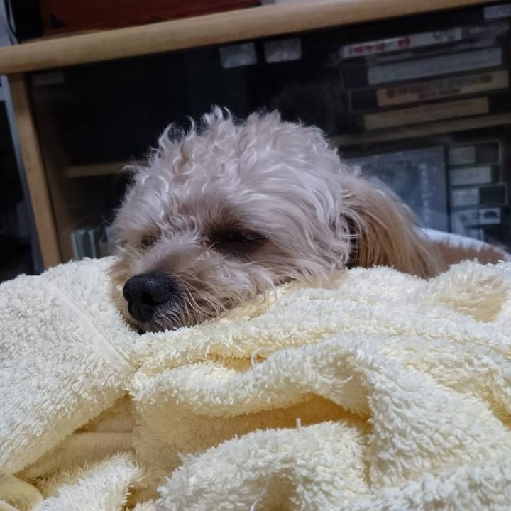 43e5d5a1 331c 4568 a397 9e2aee38cb74 1538914479853