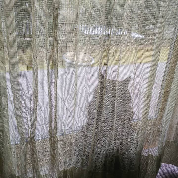 43e5f2aa 3f43 40d3 afb5 6ed416555b0b 1547941778502