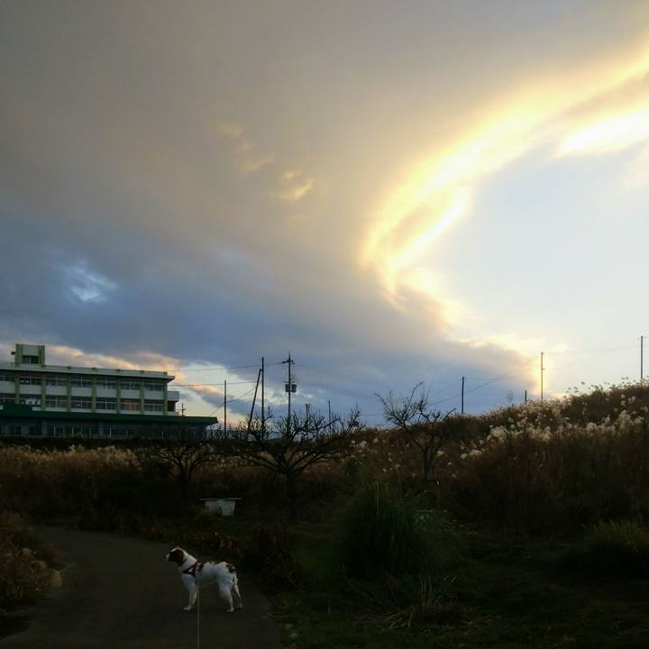 43e62039 ec67 4e83 9726 b6e47fc6cc27 1545036711484