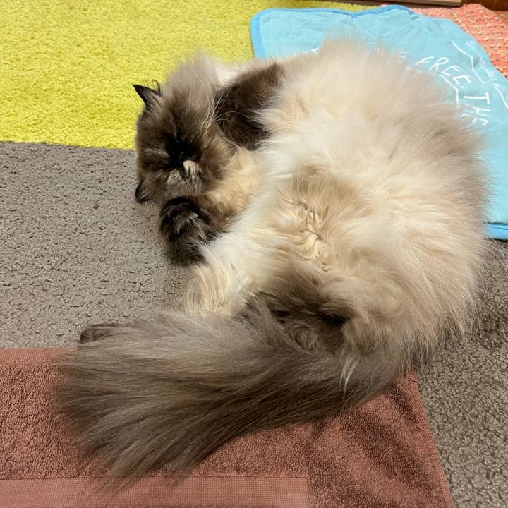 43e645cd 45a6 4bca b251 059f5ef24b0a 1746612445716