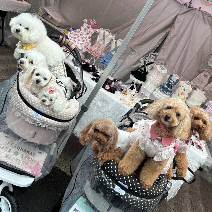 43e65f08 9f55 46ad 851b 56778956b1ac 1759649099813