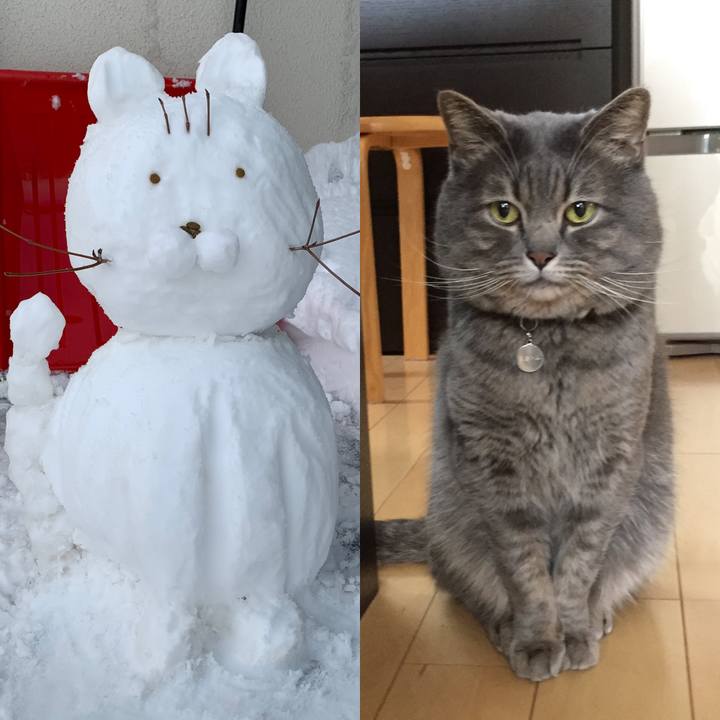 43e66be7 ecc1 4778 b383 5d28c191c4b4 1706332506821