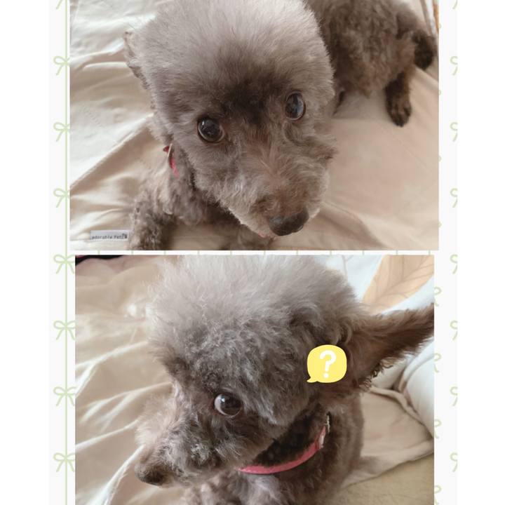 43e66e18 bc2f 4eec ac95 ed620e889411 1656319824208