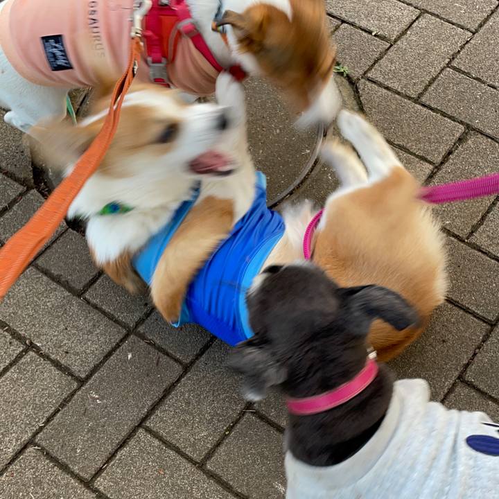 43e6739b 5a74 4dc8 92bc 98d54f693a30 1700303783077