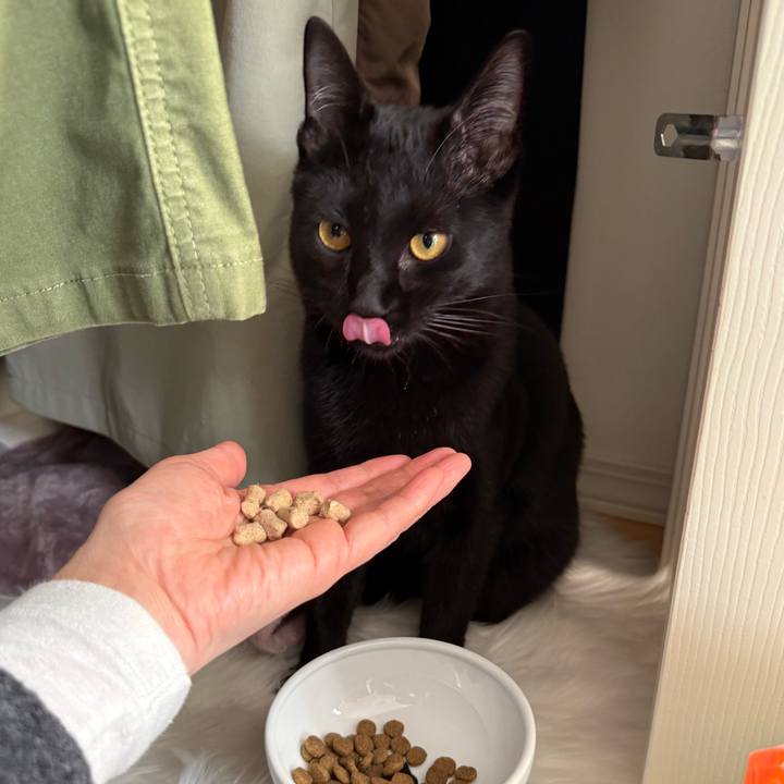 43e68358 a49b 43b5 90a0 6ea9d5305eb0 1767415786329