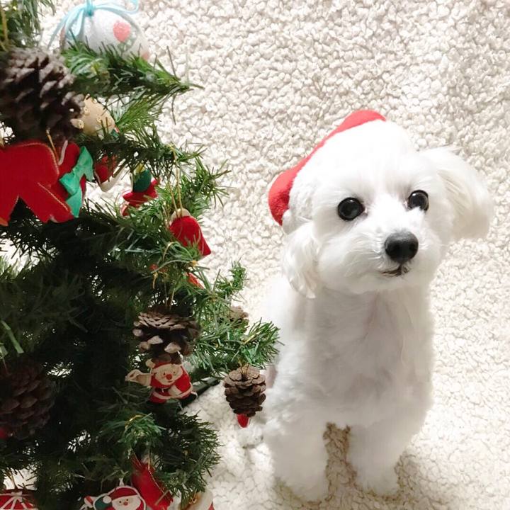 43e685bf c078 4d60 9b08 03f9652d6cba 1514351366373