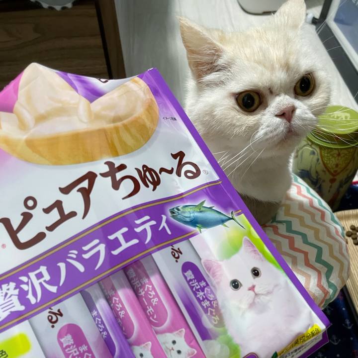 43e6f143 51c9 4654 96d0 008c4fa64cf8 1766740746133