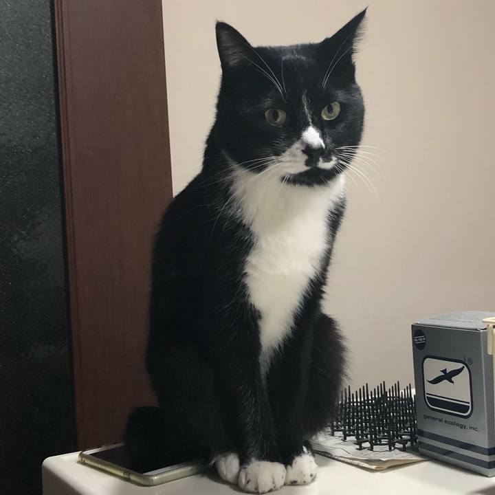 43e6f144 c436 4119 8dbb 7a7164431e93 1577940965908